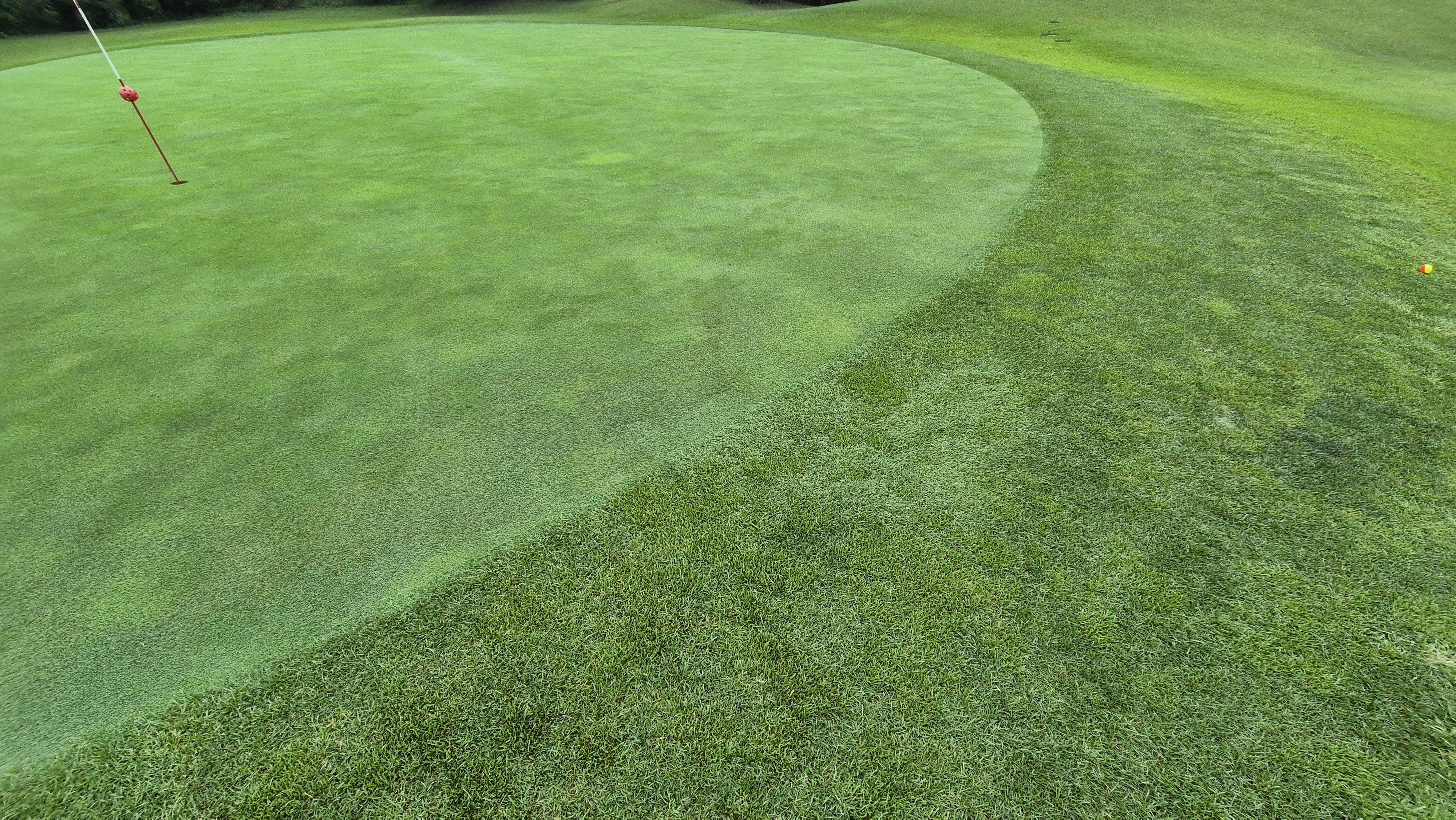 뉴스프링빌cc 라운드 후기