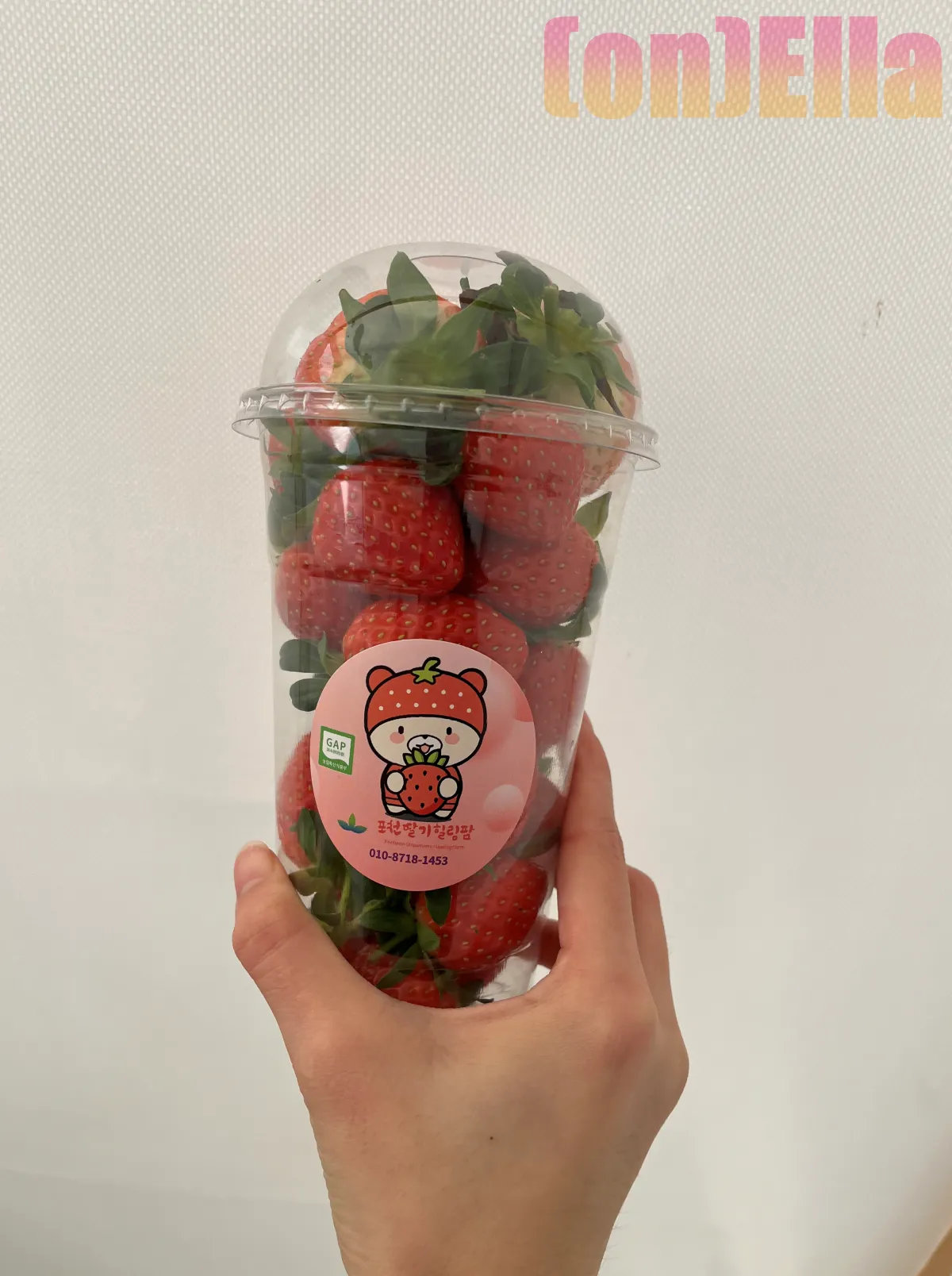 포천딸기힐링팜-수확한딸기