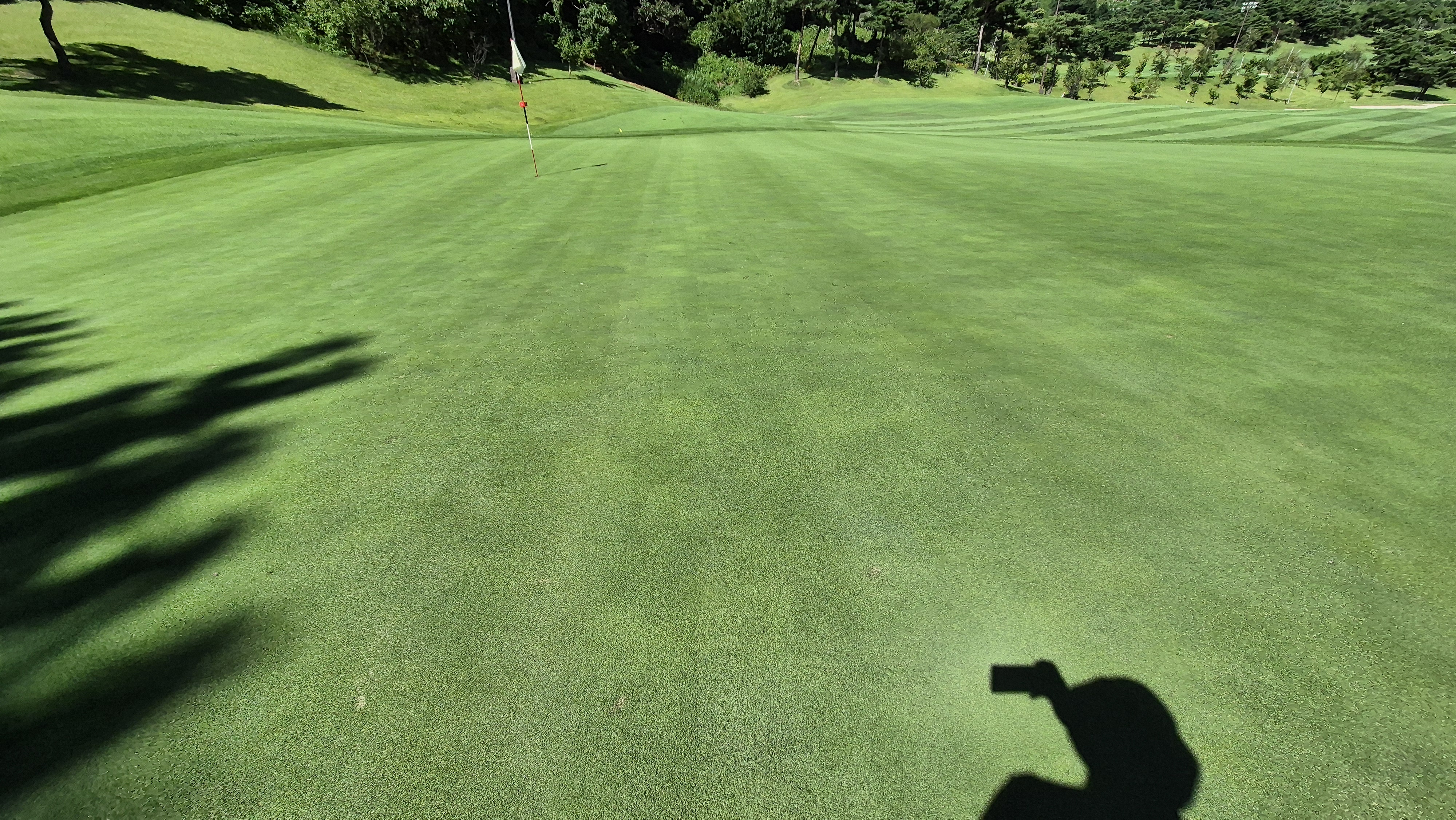 SG 아름다운cc 라운드 후기