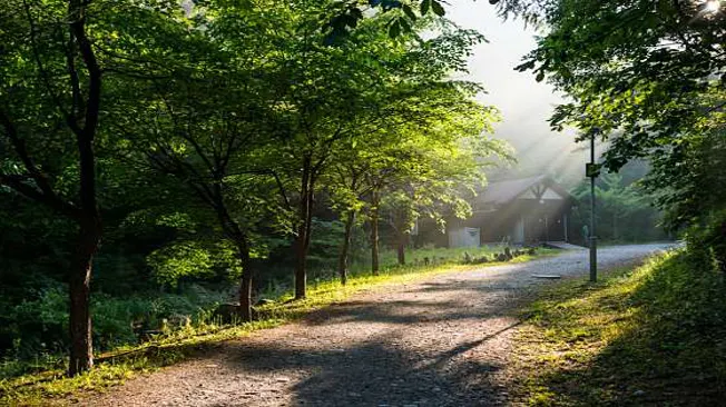 태백고원자연휴양림