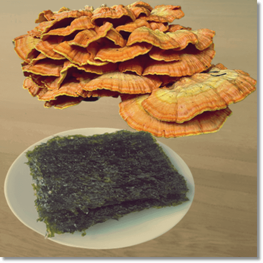 장누수증후군에 좋은 음식 버섯과 김