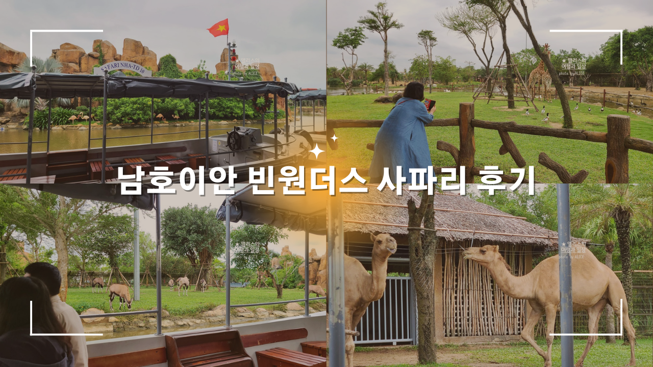 베트남 남호이안 빈원더스 사파리 후기 가격 할인입장권 예약 리버