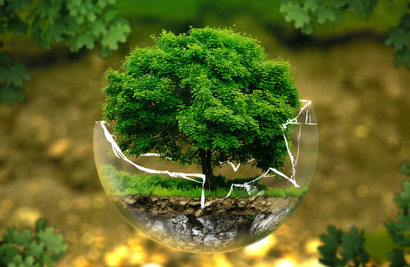 친환경 대체품 추천! 환경을 지키는 작은 실천