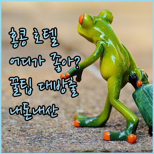 홍콩 호텔 어디가 좋을까? 하버뷰, 