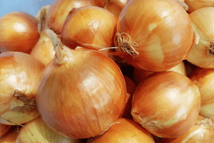 고지혈증에 좋은 음식10