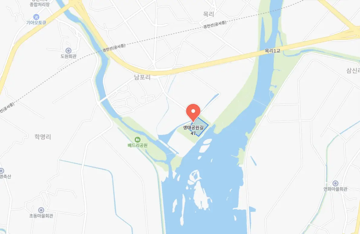 강진만 춤추는 갈대축제