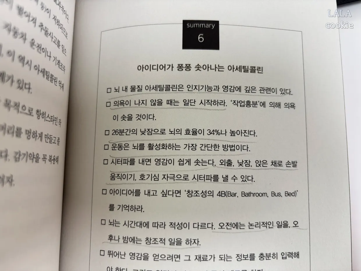 자기계발-책-추천-당신의-뇌는-최적화를-원한다-본문-내용