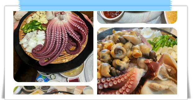 전현무계획2 삼척 문어숙회 골뱅이 수제비 후기