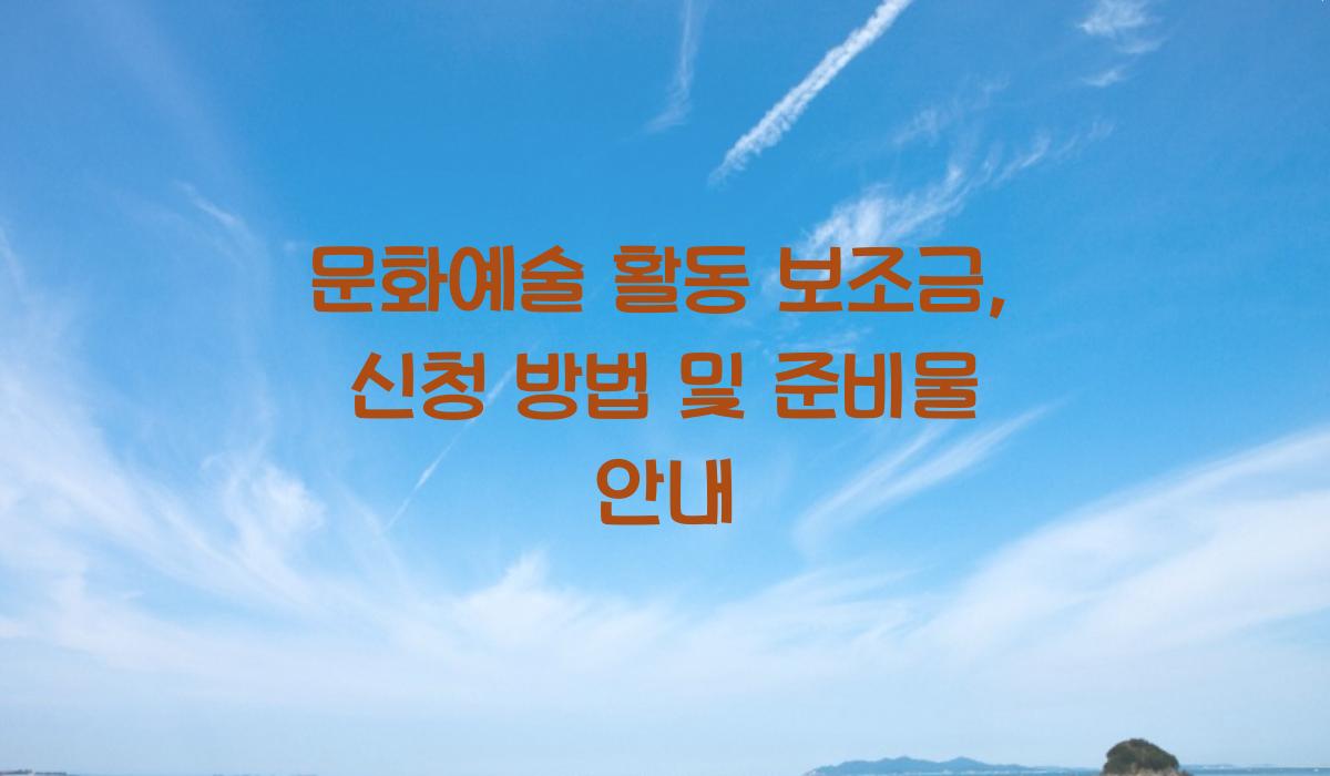 문화예술 활동 보조금