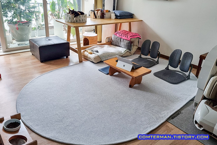 펫코지 펫러그 300*200 거실 러그