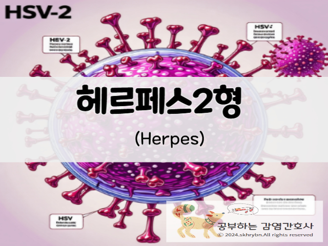 헤르페스2형(Herpes)성병의 증상 검사 및 검사비용과 치료제