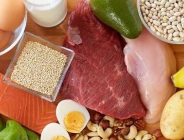 과도한 단백질 섭취