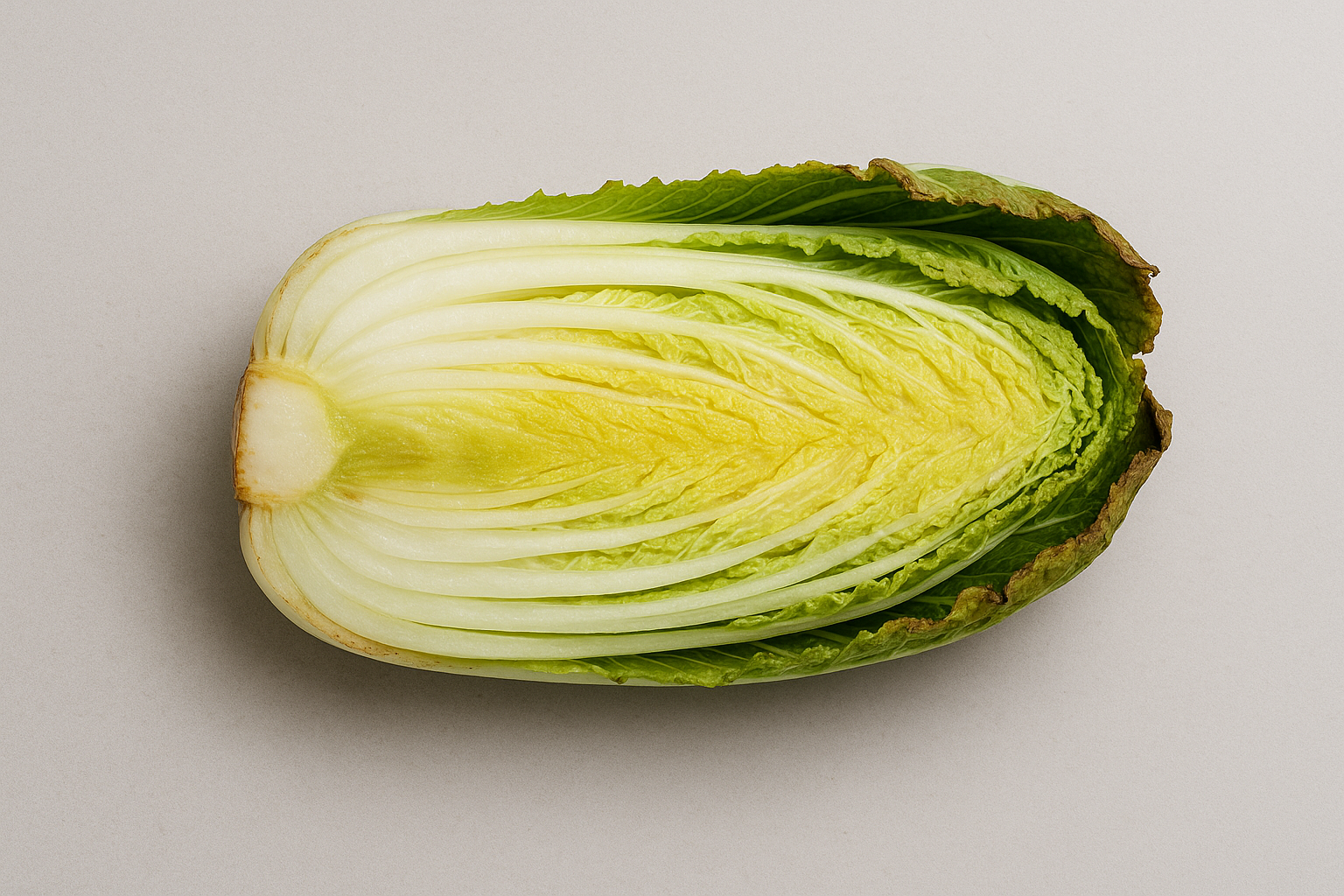 배추 잎끝 갈변과 무름 초기 징후(물기 광택)