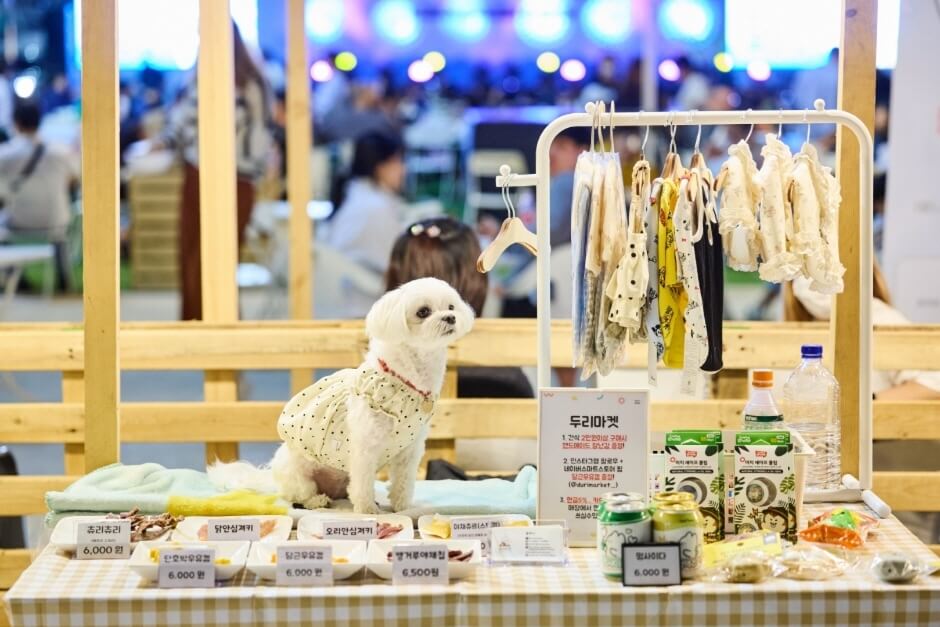 부산체험프로그램