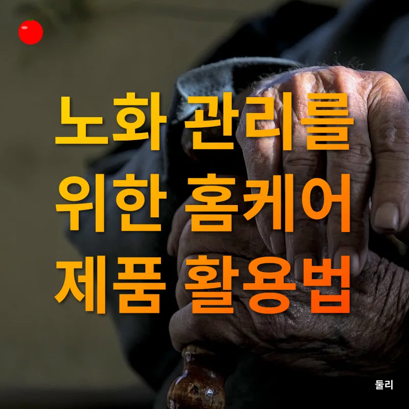 노화 관리_2