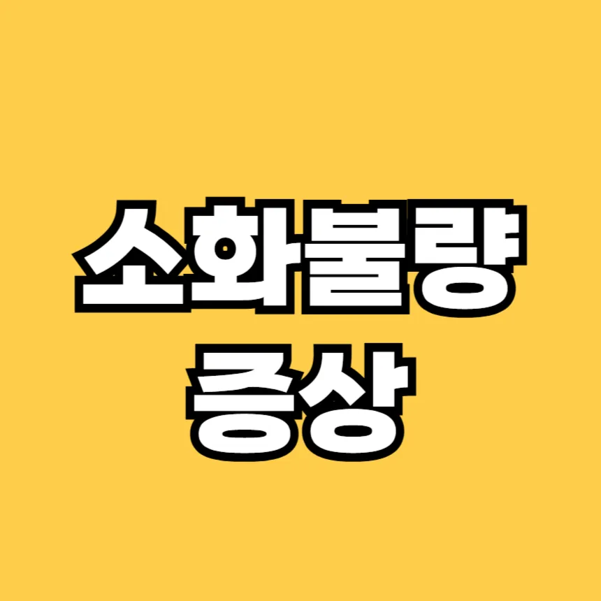 소화불량 증상