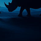 긴긴밤 &ndash; 루리&amp;#44; 어른과 아이 모두를 위한 동화