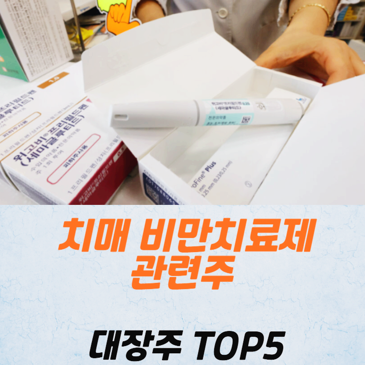 치매 비만치료제 관련주 대장주 TOP5