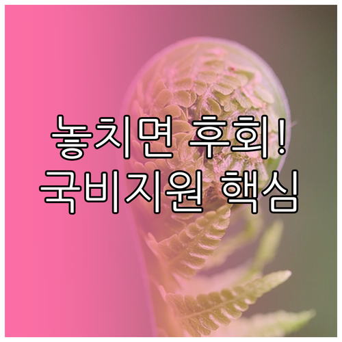 국내배 사업주환급 KDT 직장인 국비..