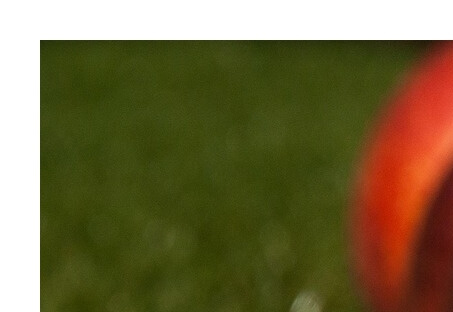 천도복숭아효능