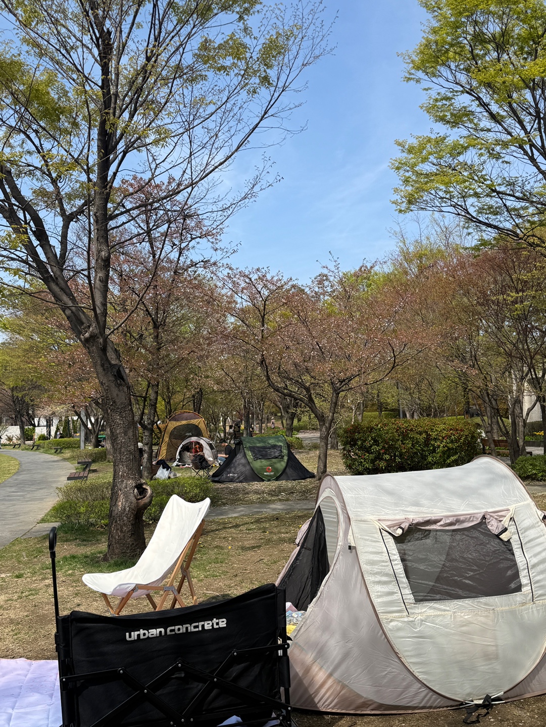 성남시청 잔디광장 피크닉 돗자리 텐트 이용 모습 가족 방문