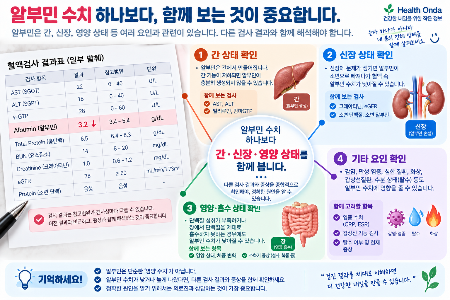 알부민과 간·신장 검사 및 증상 확인 그림