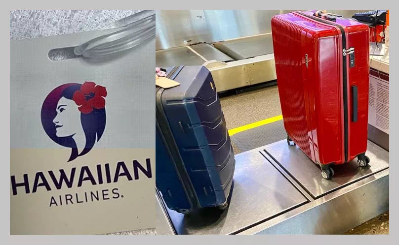 하와이안 항공 기내수하물 기준