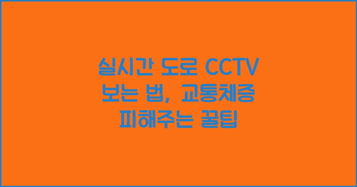 실시간 도로 cctv 보는 법