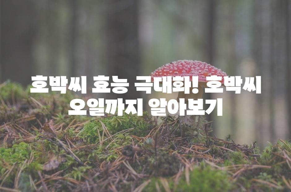 샘플 (42)