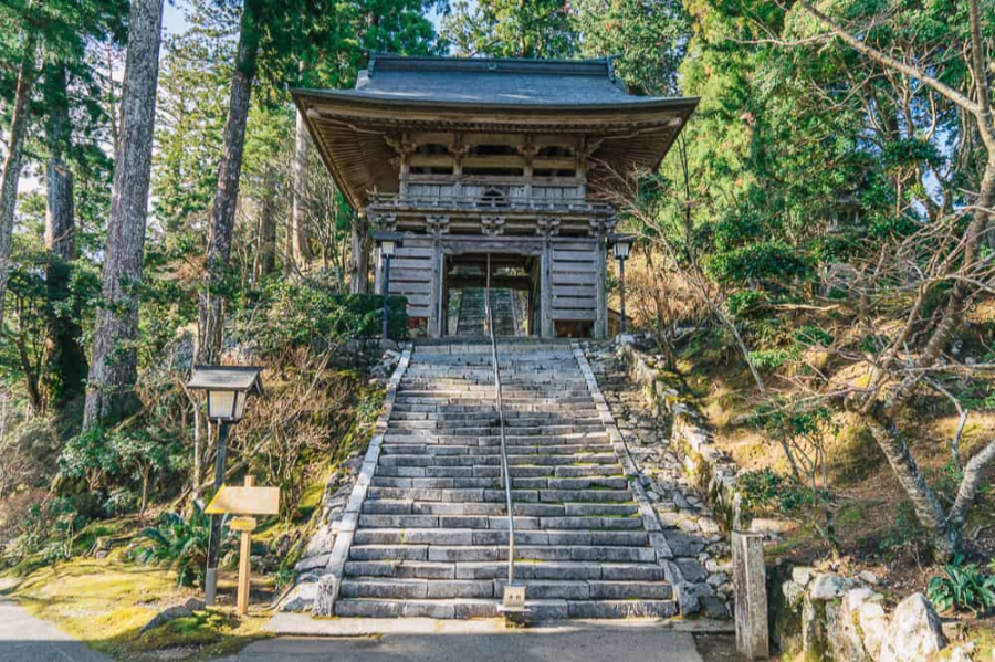 도쿠시마 여행 가이드! 필수 코스 &amp; 맛집 추천