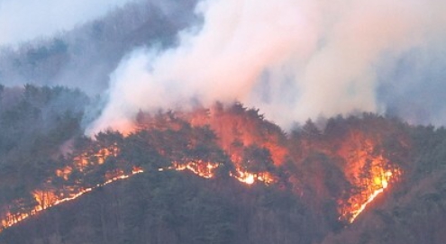 지속적인 산불