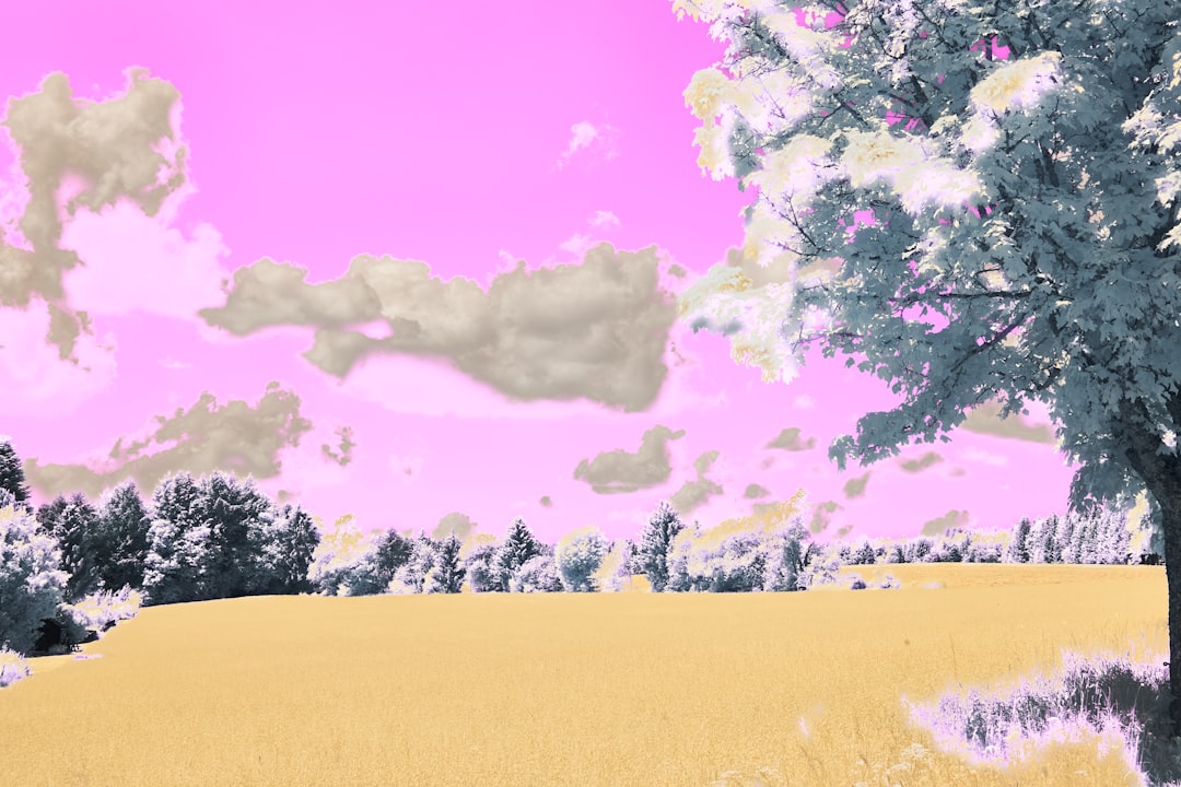 Dream Interpretation