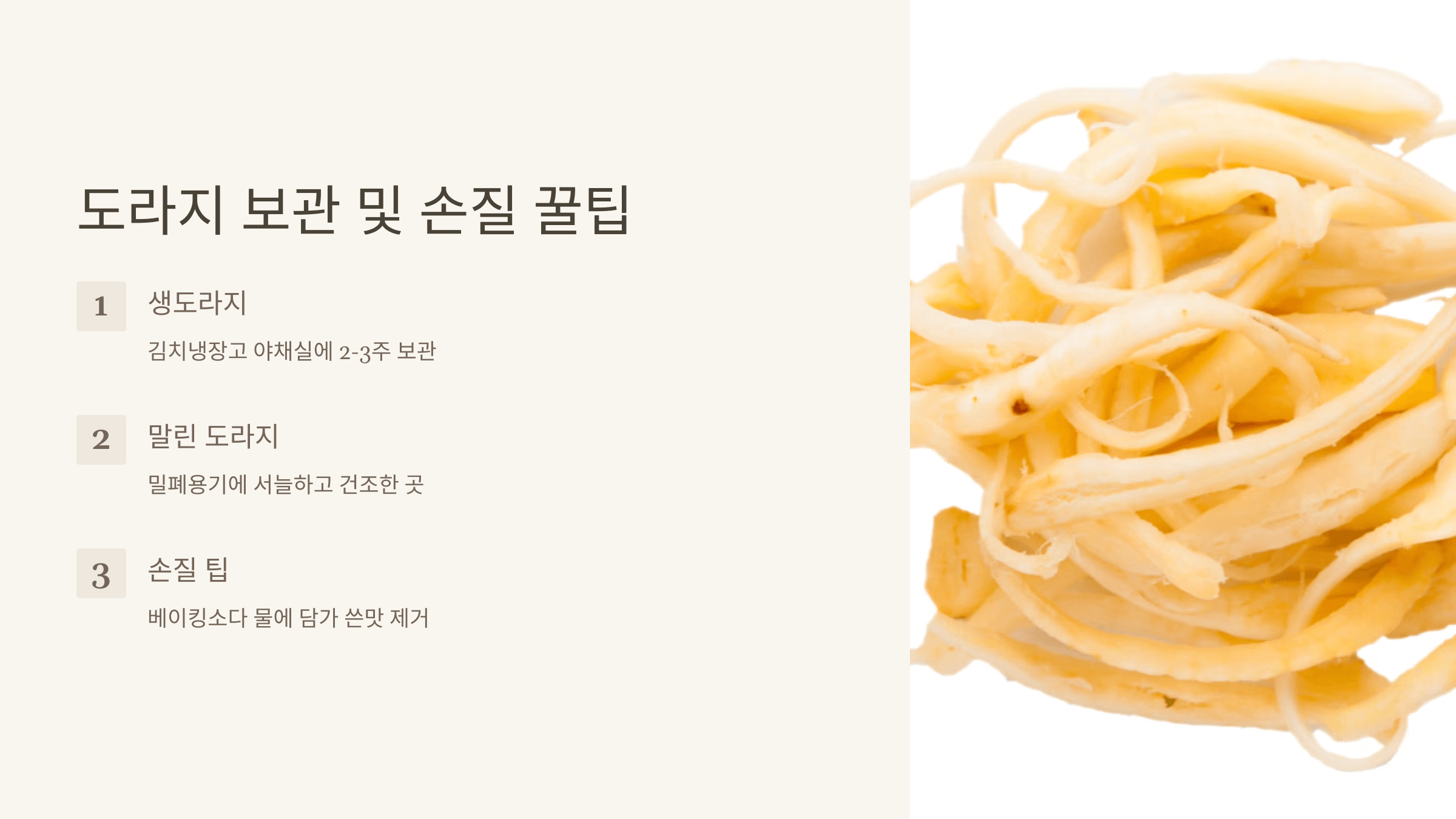 도라지 사진입니다.