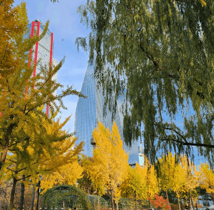 여의도한강공원