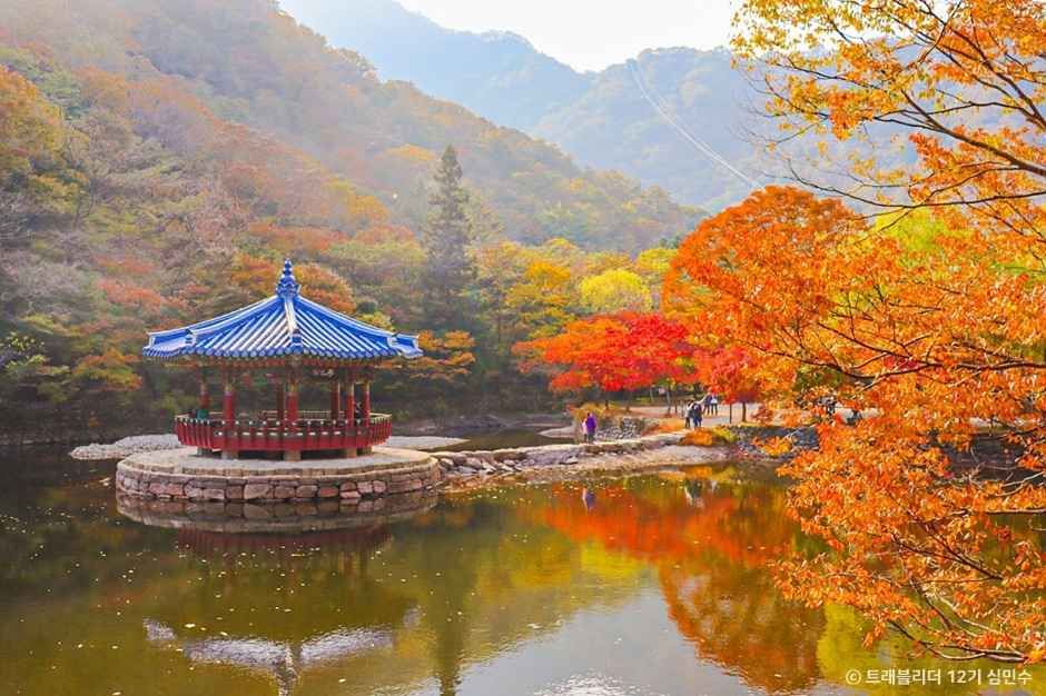 정읍 가볼만한곳 베스트10