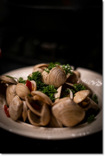 조개류 해감 빼는 법 미세플라틱 잘 제거