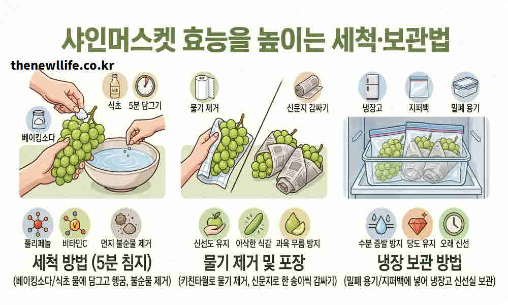 샤인머스켓 효능 높이는 세척 보관법