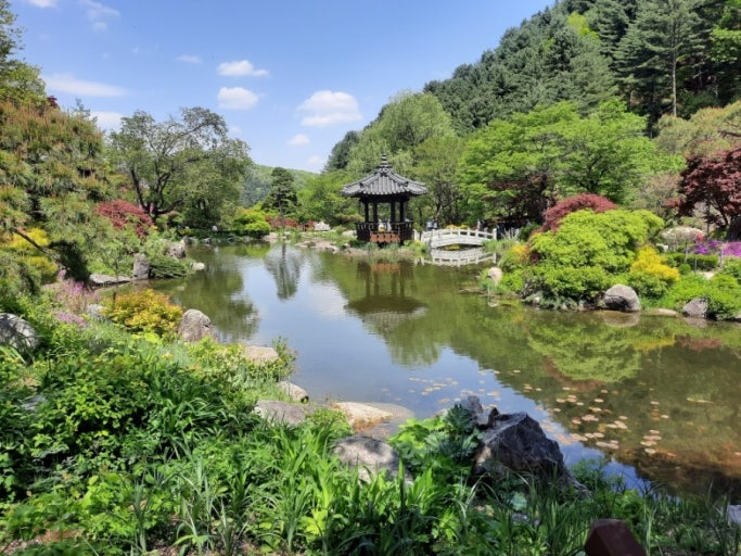 혼자 떠나는 완벽한 주말 당일치기 여행: 나만을 위한 힐링 코스 추천! 관련 사진