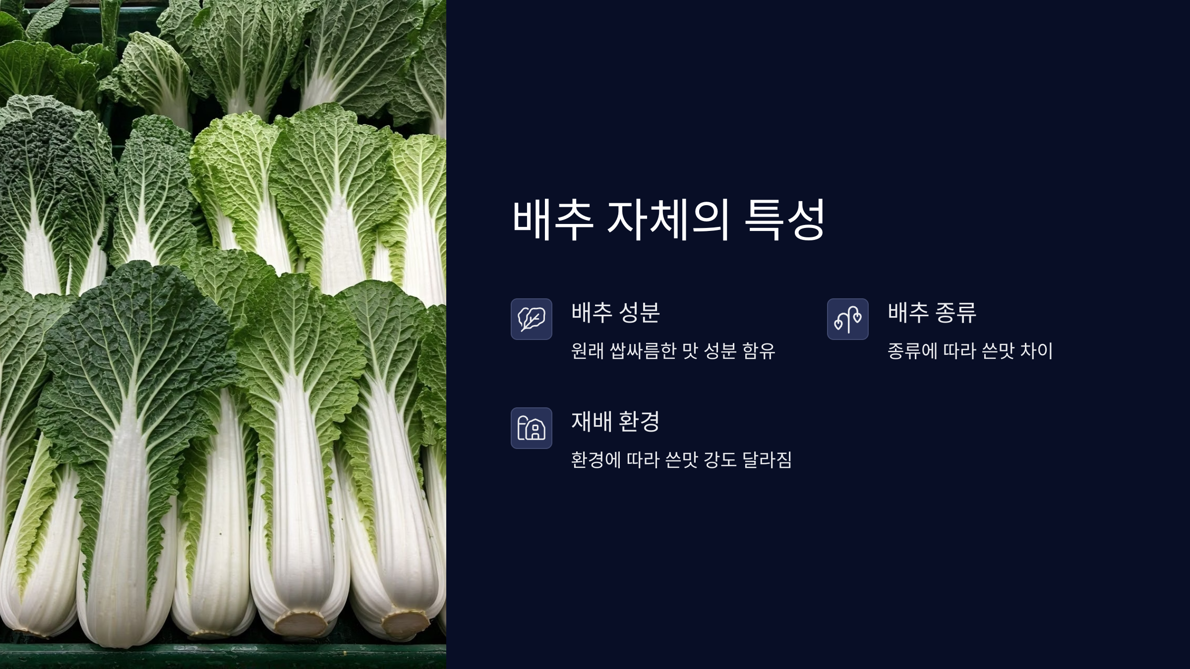 김치쓴맛-원인