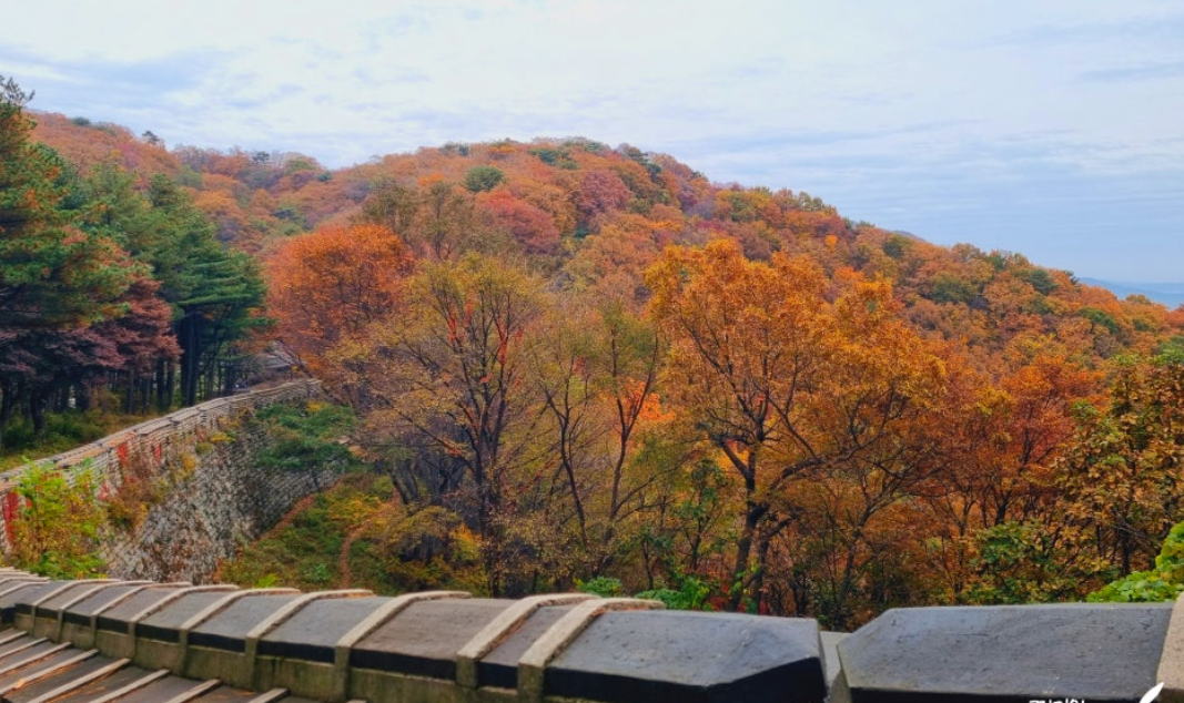 남한산성 단풍