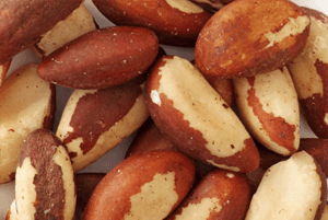 브라질 너트 효능08