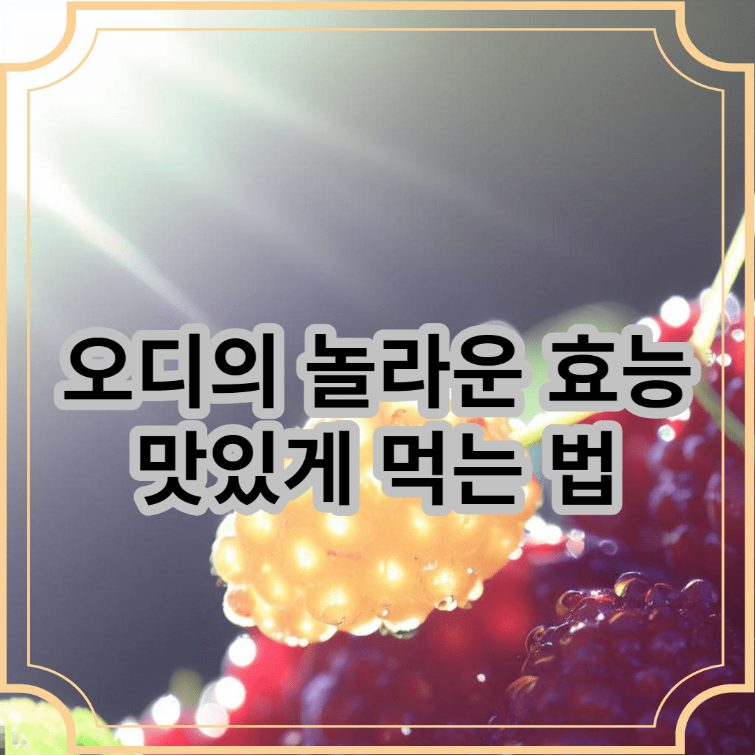 햇빛을 잘 받은 오디 이미지 오디의 놀라운 효능 맛있게 먹는 법