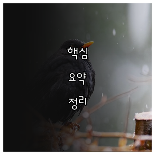 성남시 2025 체육시설 감면 50%..