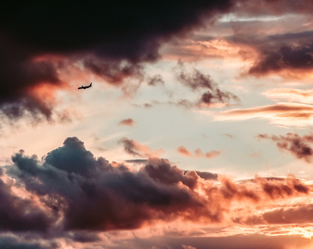 'Flight'