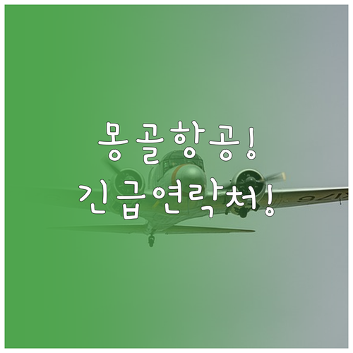 해외 여행 중 몽골항공 긴급 연락처와..