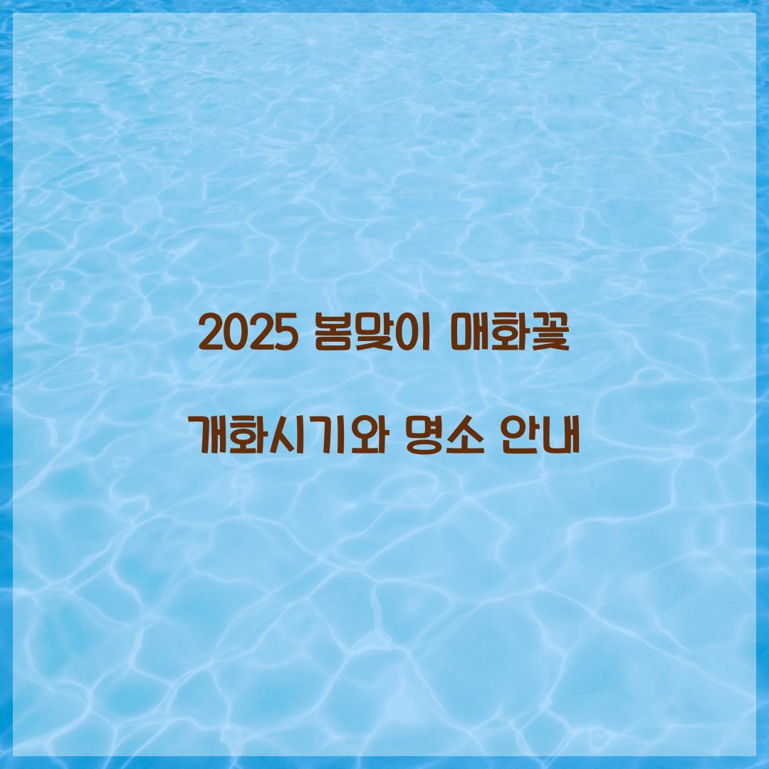매화꽃 개화시기