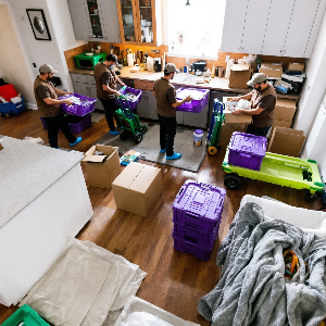 포장이사 업체별 평균 비용 비교