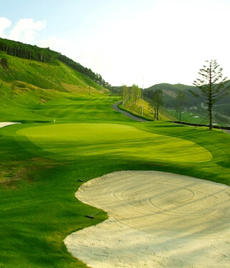 하이원cc 주차장 셔틀