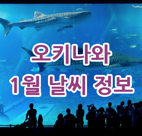 오키나와 1월 날씨 정보