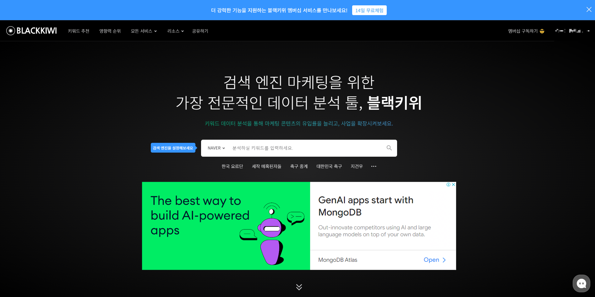 블랙키위 화면